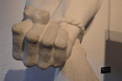 DSC_0004_Medium_