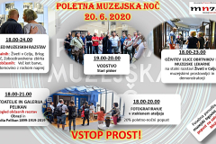 plazma_pmn_foto