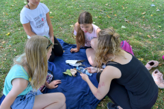 DSC_3971