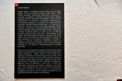 29_ta_veseli_dan_kulture_2017_29