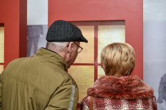 30_ta_veseli_dan_kulture_2017_30