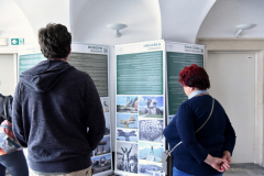 DSC_3499