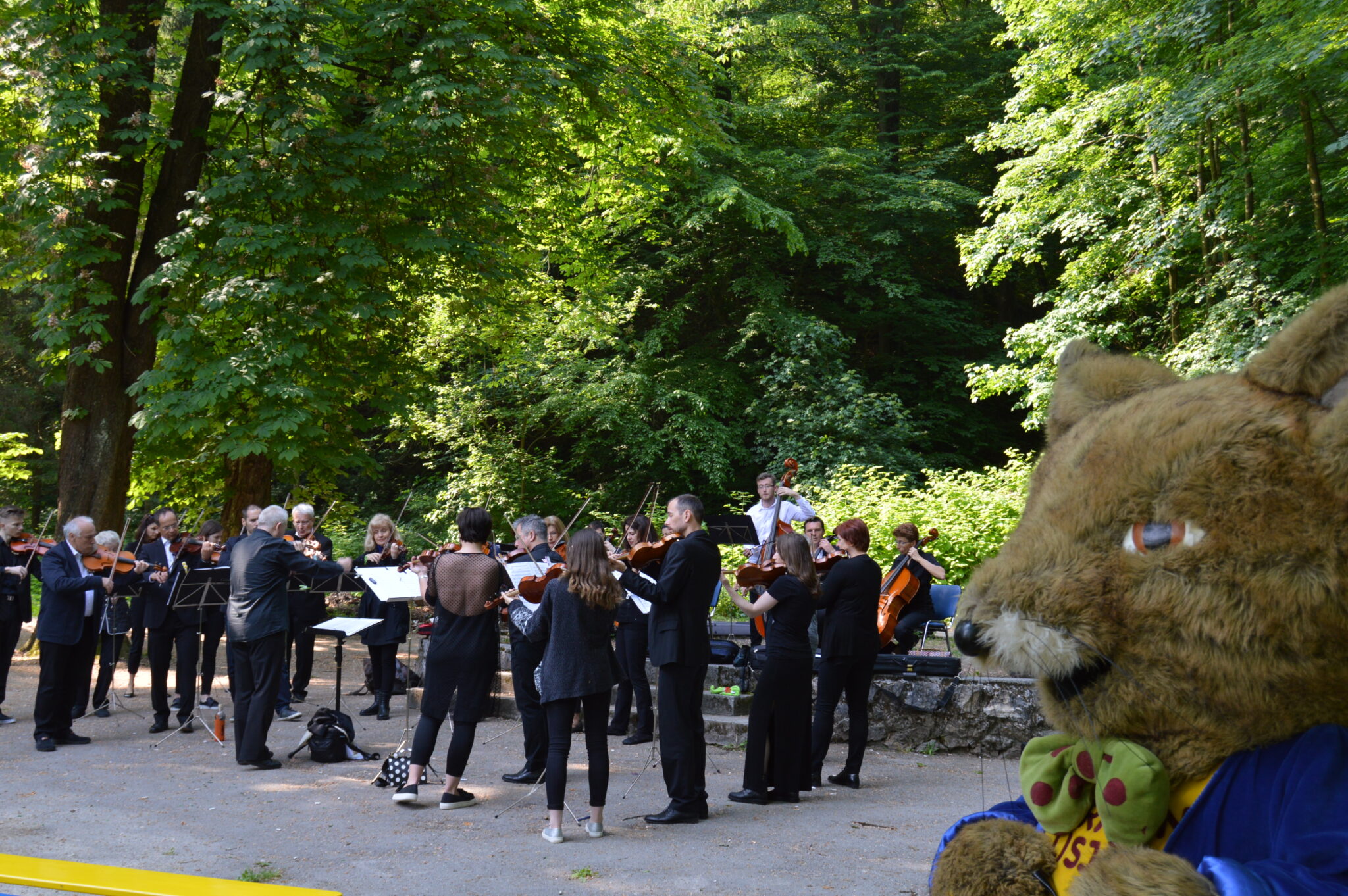 Glasbena sobotnica: Pomladni sprehod s Celjskim godalnim orkestrom