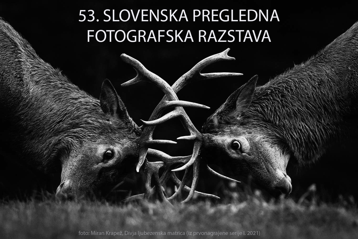 Vabljeni na odprtje 53. slovenske pregledne fotografske razstave 2023